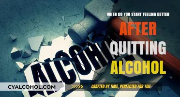 Alcohol-Free: Feeling Better and Living Life