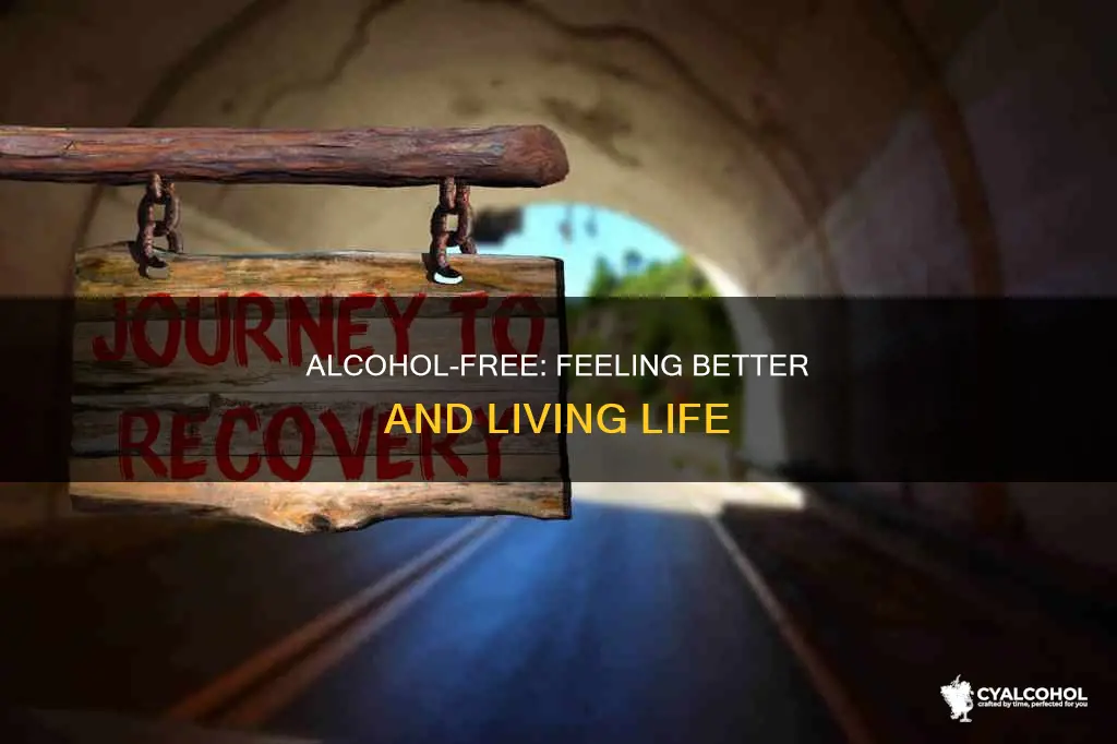 when do you start feeling better after quitting alcohol