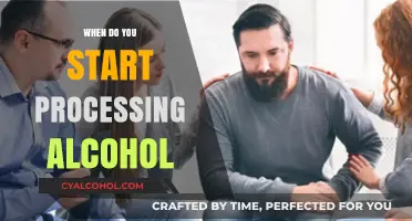 When Does Alcohol Processing Begin in Your Body?