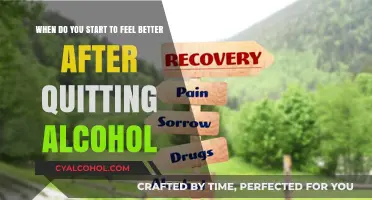 Alcohol-Free: Feeling Better and Living Life Sober
