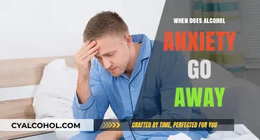 When Does Alcohol-Induced Anxiety Disappear? A Recovery Timeline