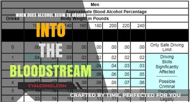 Alcohol Absorption: How Fast Does It Enter Your Bloodstream?