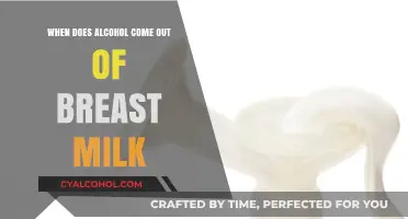 Alcohol in Breast Milk: Timing, Safety, and What Moms Need to Know