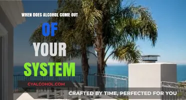 How Long Does Alcohol Stay in Your System? A Complete Guide