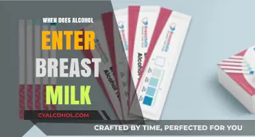 Alcohol in Breast Milk: Timing, Safety, and What Moms Need to Know