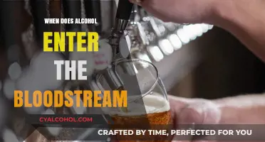 How Quickly Does Alcohol Enter Your Bloodstream? A Detailed Guide