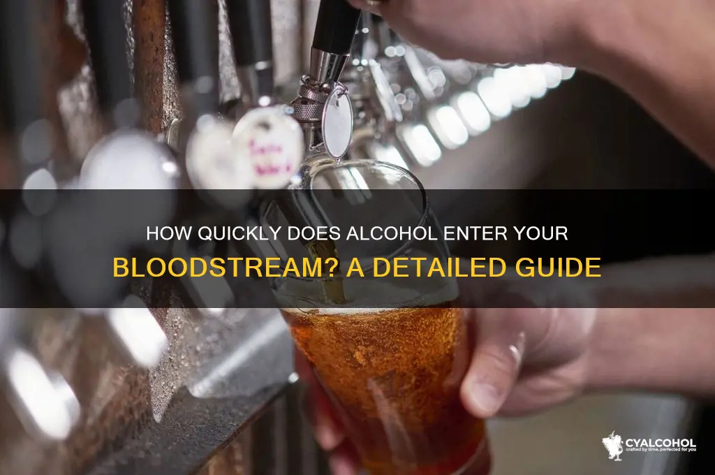 when does alcohol enter the bloodstream