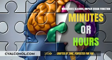 Alcohol's Impact: Brain Function Impaired in Minutes