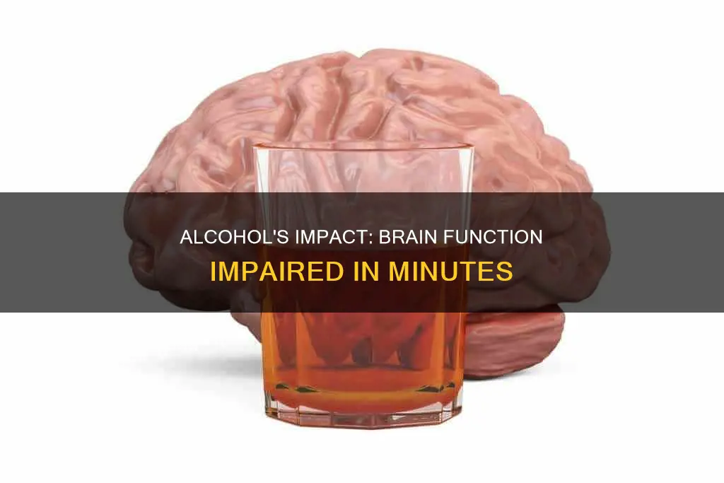 when does alcohol impair brain function minutes or hours