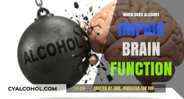 How Alcohol Impairs Brain Function: Timing and Effects Explained