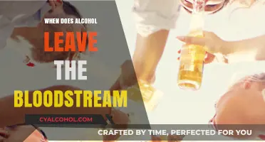 How Long Does Alcohol Stay in Your Bloodstream?