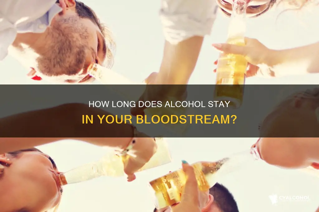 when does alcohol leave the bloodstream