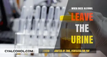 How Long Does Alcohol Stay Detectable in Your Urine?