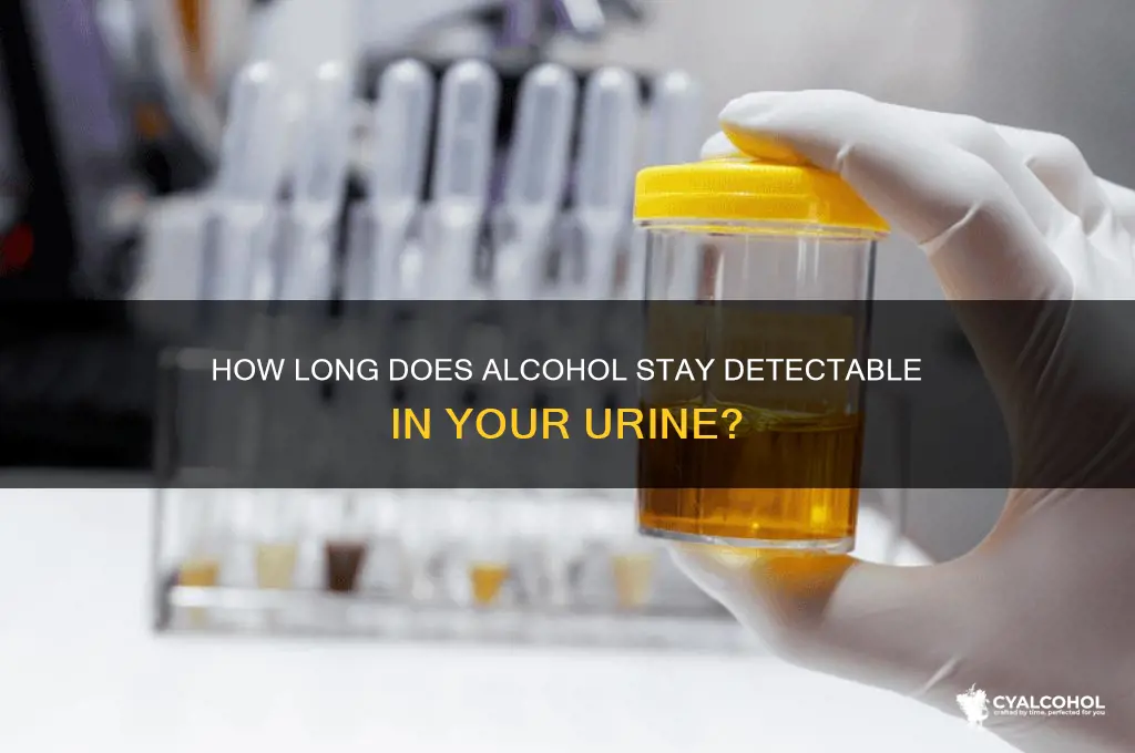 when does alcohol leave the urine