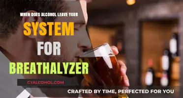 Breathalyzer Accuracy: How Long Does Alcohol Stay Detectable in Your System?
