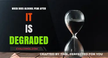 Understanding Alcohol Peak Times Post-Metabolism: Key Insights and Factors