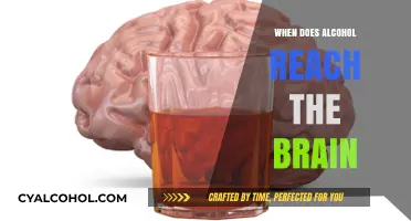 How Quickly Does Alcohol Affect Your Brain After Consumption?