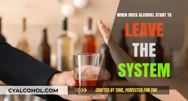How Long Does Alcohol Stay in Your System?