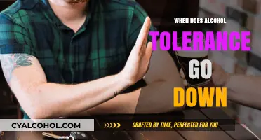 Understanding When Alcohol Tolerance Decreases and How It Affects You
