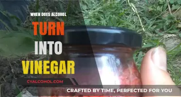 When Does Alcohol Turn into Vinegar: The Fermentation Process Explained