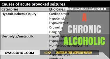 Alcoholic Seizures: Chronic Risks and When They Occur
