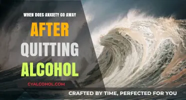 Quitting Alcohol: Understanding When Anxiety Symptoms Begin to Fade