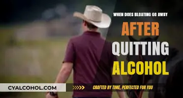 How Long Does Post-Alcohol Bloating Last? A Recovery Timeline