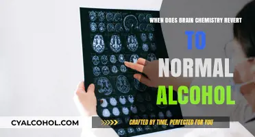 Alcohol's Impact: When Does Brain Chemistry Normalize After Quitting Drinking?