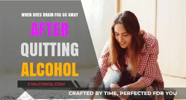 Alcohol-Induced Brain Fog: How Long Does It Last?