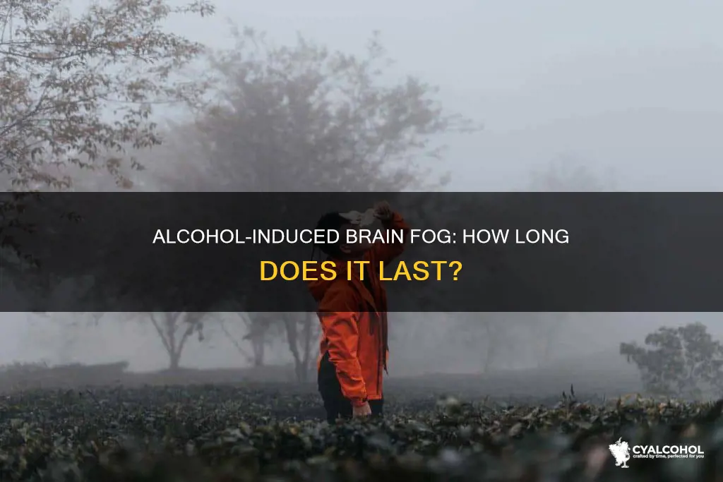 when does brain fog go away after quitting alcohol