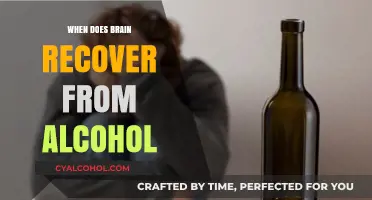 Brain Recovery Timeline: Healing from Alcohol's Impact Explained