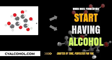 Fermentation to Alcohol: When Does the Process Begin?