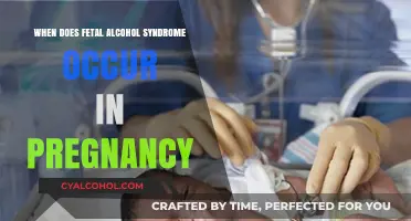Understanding Fetal Alcohol Syndrome: Critical Pregnancy Stages and Risks