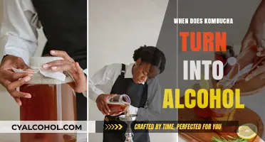 When Does Kombucha Ferment into Alcohol? A Brewing Timeline