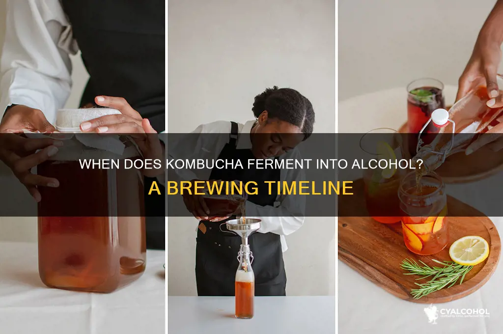 when does kombucha turn into alcohol