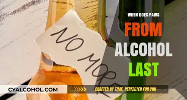 How Long Do Alcohol PAWS Symptoms Persist After Quitting?