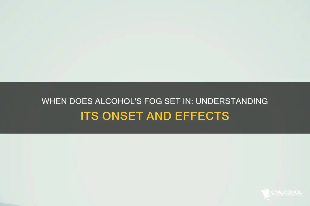 when does the fog of alcohol come out