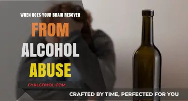 Brain Recovery Timeline: Healing After Alcohol Abuse and Sobriety