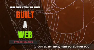Alcohol's Effect on Spider Web Construction: A Surprising Experiment