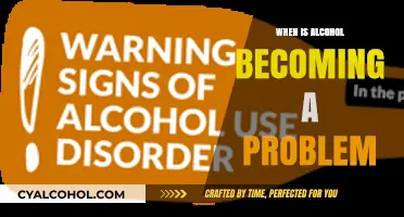 Recognizing the Signs: When Does Alcohol Use Become a Problem?