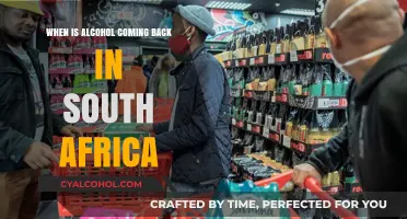 South Africa's Alcohol Ban: When Will Sales Resume?