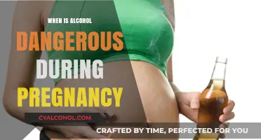 Alcohol and Pregnancy: Understanding the Risks and Safe Practices