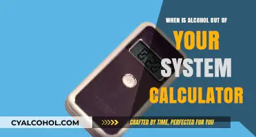 How Long Does Alcohol Stay in Your System? Calculator Guide