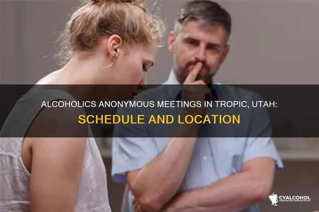 when is alcoholics anonymous tropic utah
