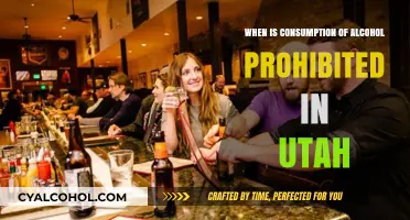 Utah's Alcohol Restrictions: When and Where Consumption is Prohibited
