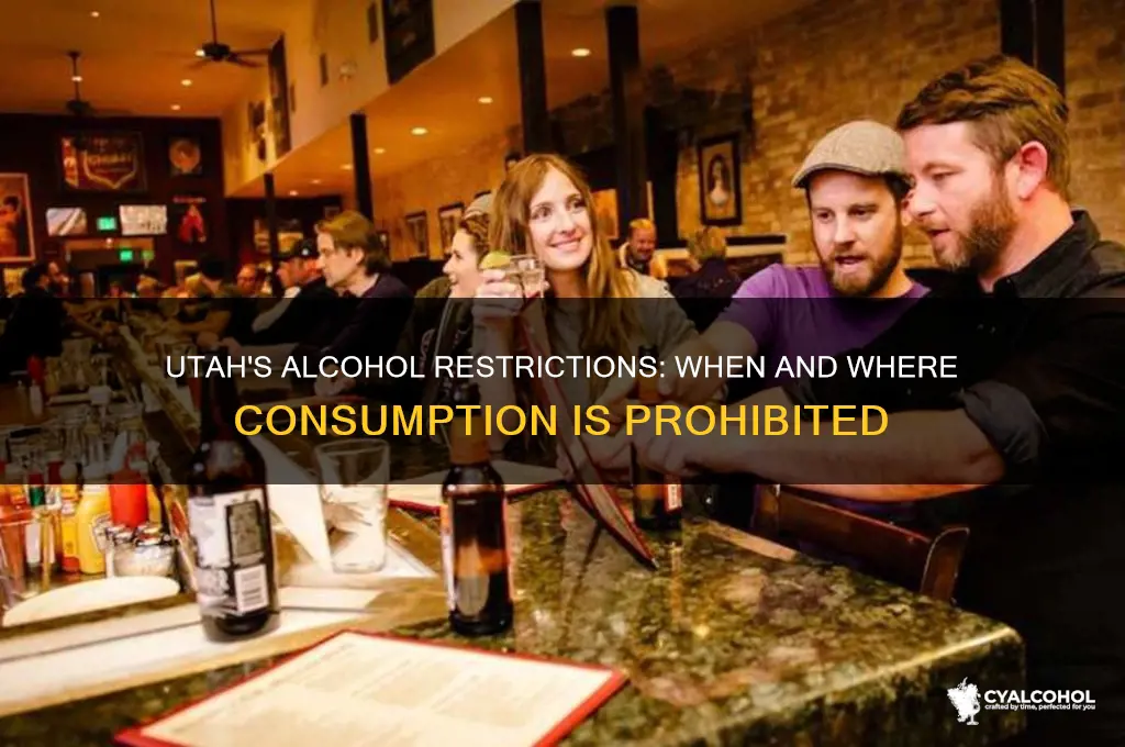 when is consumption of alcohol prohibited in utah