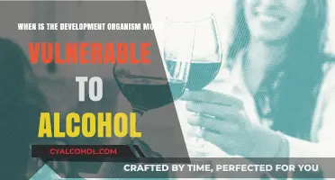 Alcohol's Impact: When Are Developing Organisms Most Vulnerable?