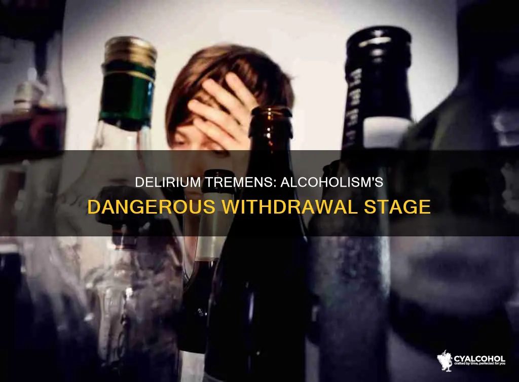 when is the onset of delirium tremens in alcoholism
