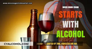 Exploring Alcohol-Initiated Main Chain Reactions: Mechanisms and Applications