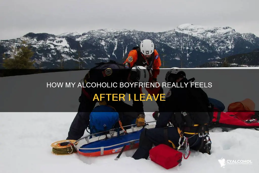 when my alcoholic boyfriend misses me after a few days